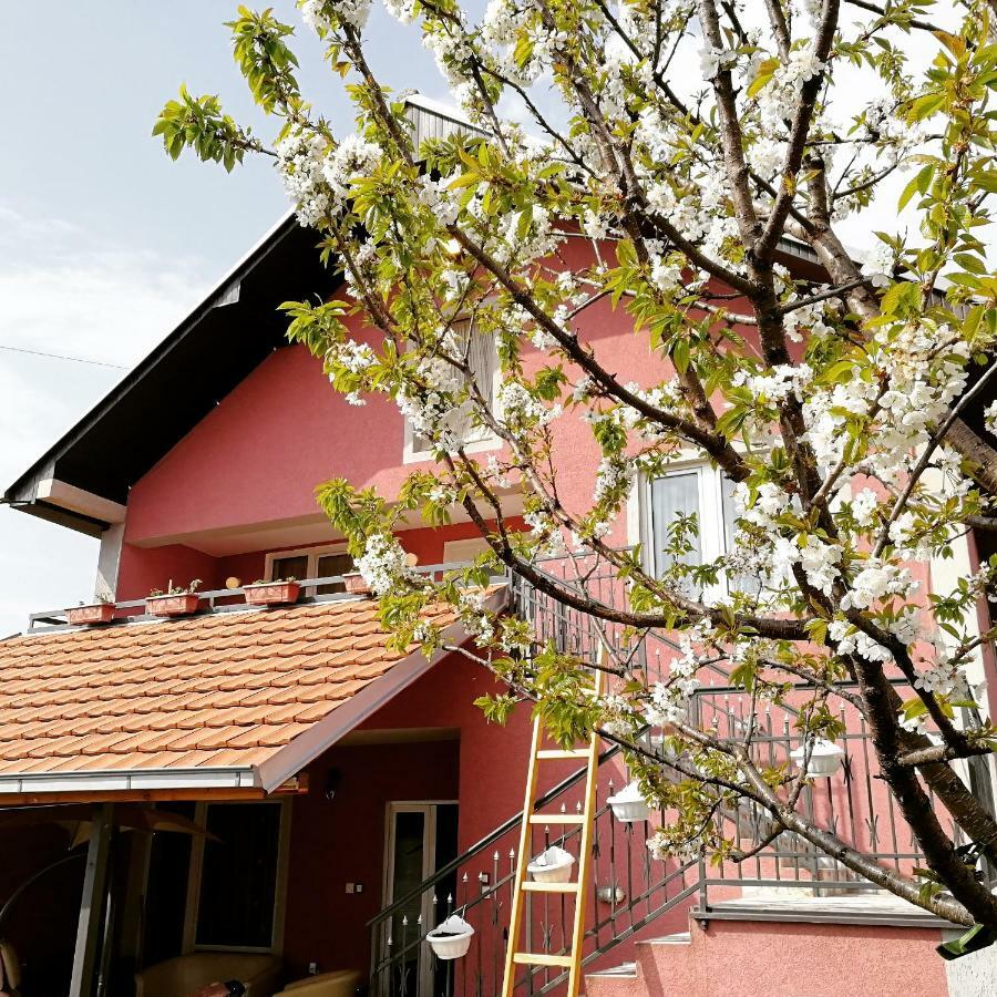 Apartments "Predah Kod Baraca" Ni Eksteriør bilde